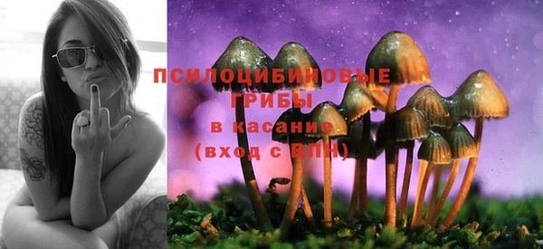молекула духа Беломорск